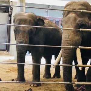 Meet your Posher, Meghan